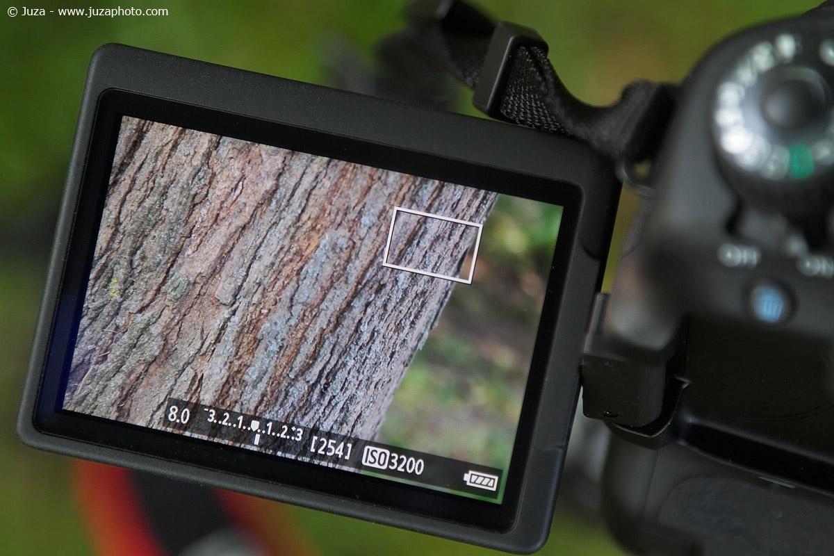 A quick look to Canon 60D (compared to 7D) | JuzaPhoto