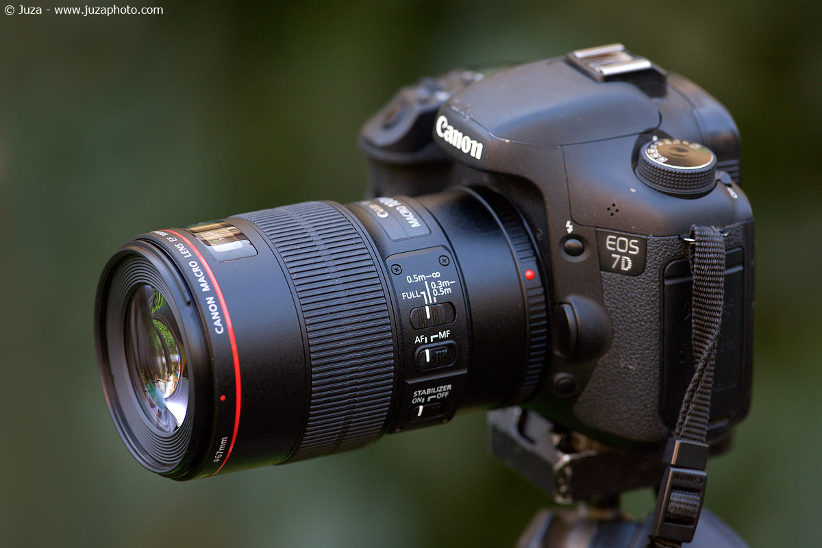 Recensione Canon 100mm Macro L IS USM | JuzaPhoto