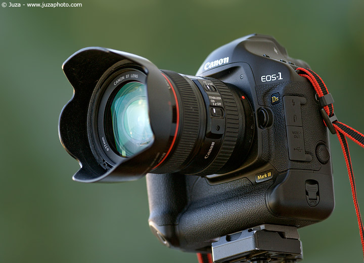 Canon EF 24-105mm f/4 L IS USM Field Review | JuzaPhoto