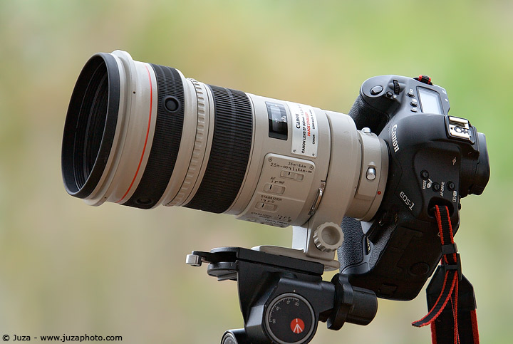 Canon EF 300mm f/2.8 L IS USM Review | JuzaPhoto