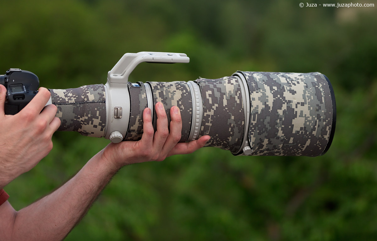 Canon EF 500mm f/4 L IS II USM Review | JuzaPhoto