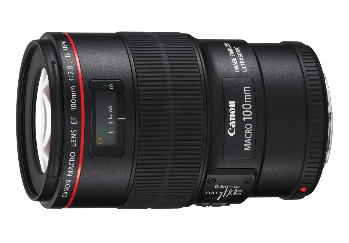Canon EF 100mm f/2.8 L Macro IS USM : Caratteristiche e Opinioni | JuzaPhoto