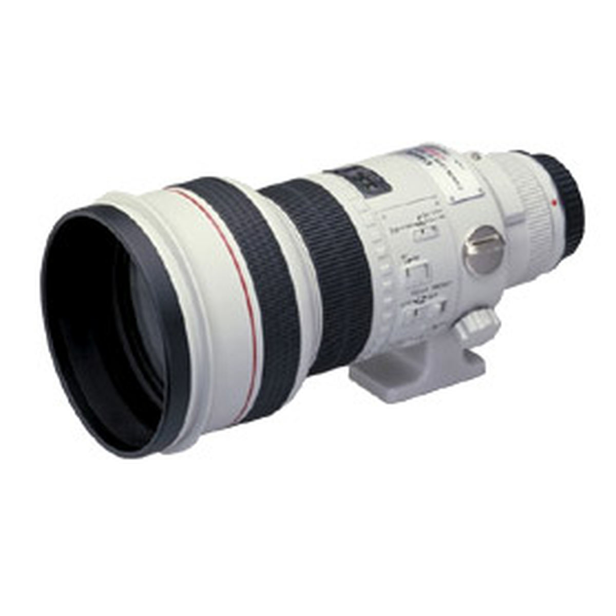 Canon EF 300mm f/2.8 L USM : Caratteristiche e Opinioni | JuzaPhoto