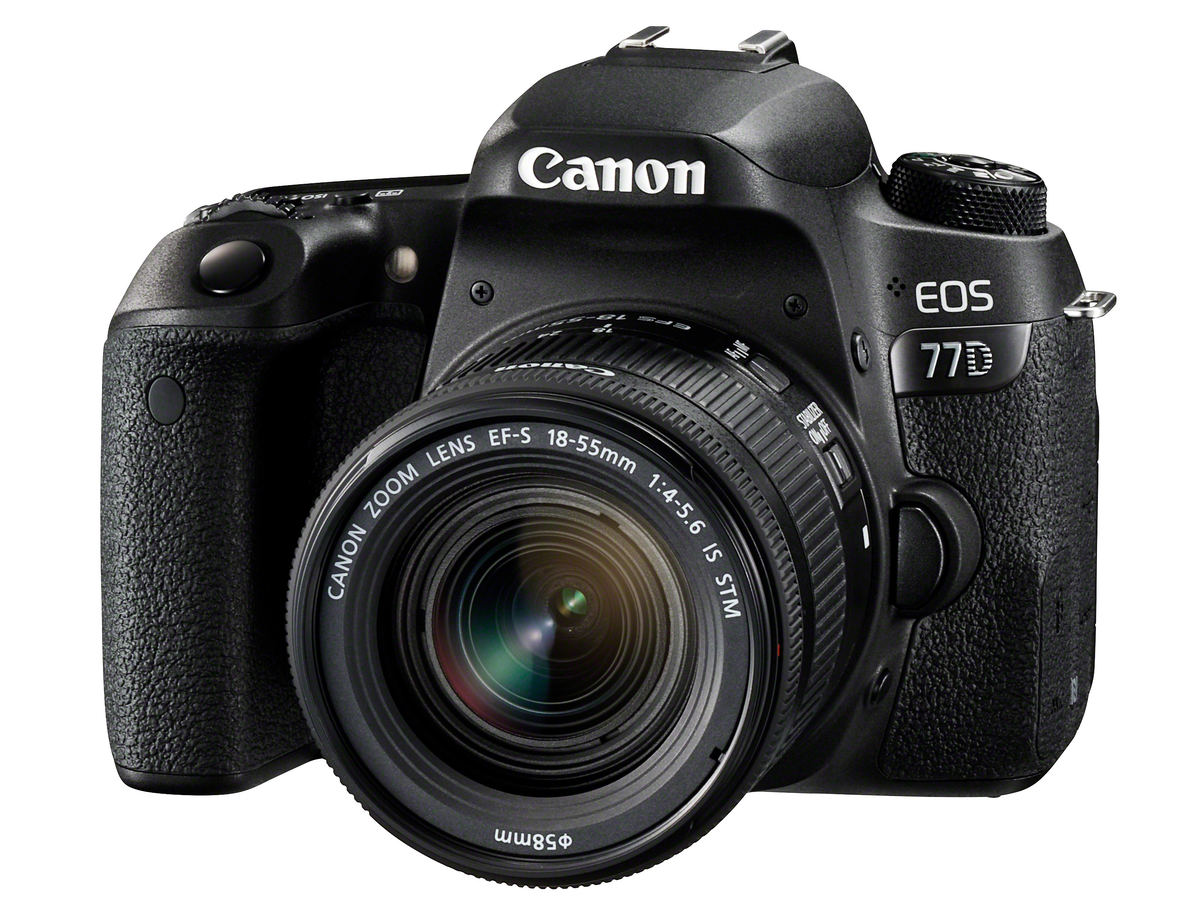 Canon 77D : Caratteristiche e Opinioni | JuzaPhoto