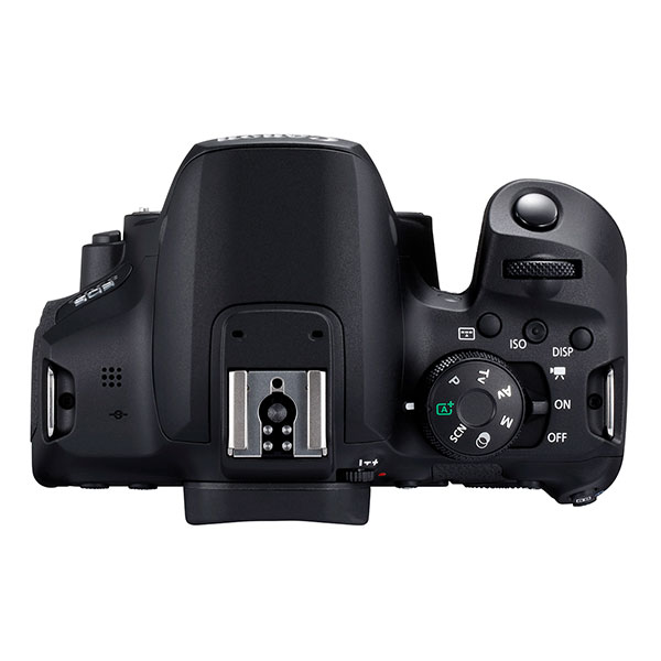Canon 850D : Caratteristiche e Opinioni | JuzaPhoto