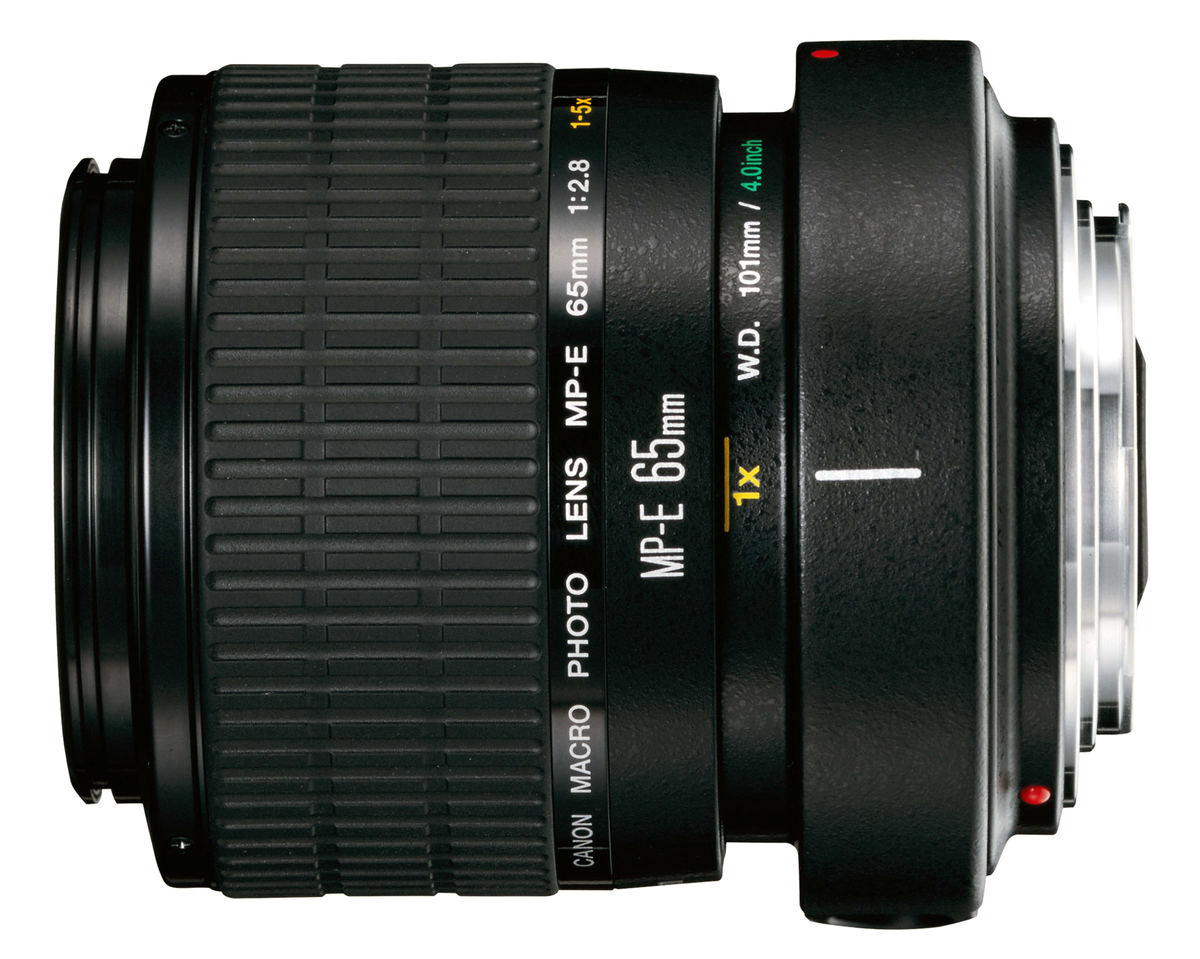 Canon MP-E 65mm f/2.8 1-5x Macro : Caratteristiche e Opinioni | JuzaPhoto